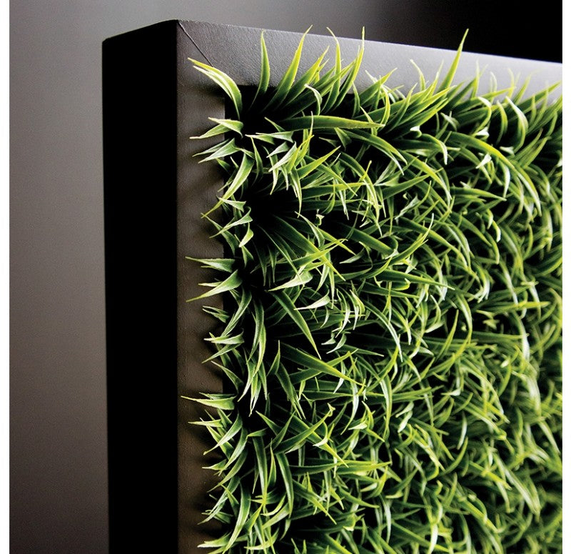 Green Wall, Curly Grass by Gold Leaf Design Group | Green Wall | Modishstore - 2
