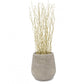 Bleached Kuwa in Urbano Bell Planter, LG by Gold Leaf Design Group | Botanicals | Modishstore