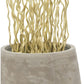 Bleached Kuwa in Urbano Bell Planter, LG by Gold Leaf Design Group | Botanicals | Modishstore-2