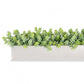 Stainless Steel Table Planter, Sedum Album by Gold Leaf Design Group | Planters, Troughs & Cachepots | Modishstore - 2