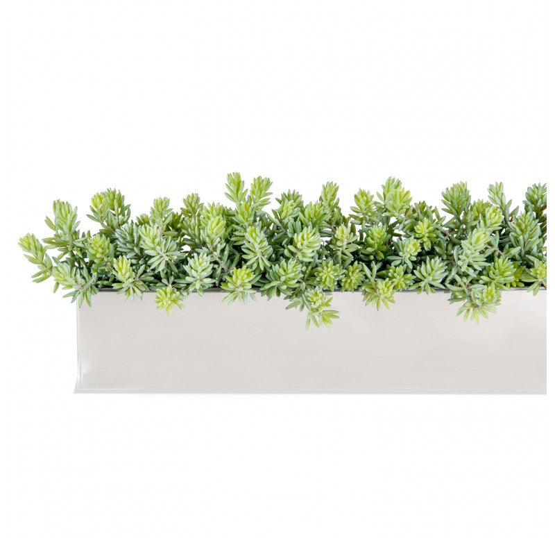 Stainless Steel Table Planter, Sedum Album by Gold Leaf Design Group | Planters, Troughs & Cachepots | Modishstore - 2