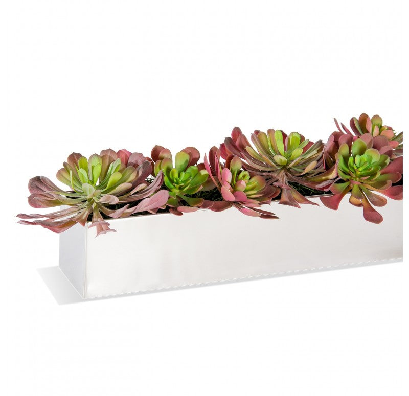 Stainless Steel Table Planter, Echeveria Burgundy Mix by Gold Leaf Design Group | Planters, Troughs & Cachepots | Modishstore-2