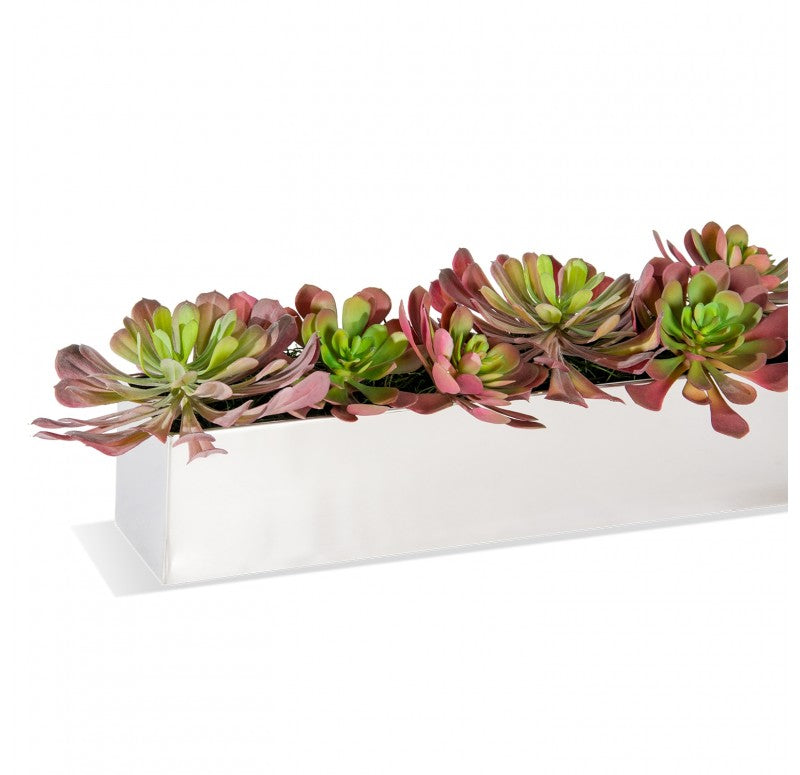 Stainless Steel Table Planter, Echeveria Burgundy Mix by Gold Leaf Design Group | Planters, Troughs & Cachepots | Modishstore - 2