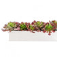 Stainless Steel Table Planter, Echeveria Burgundy Mix by Gold Leaf Design Group | Planters, Troughs & Cachepots | Modishstore