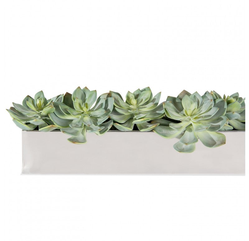 Stainless Steel Table Planter, Ghost Grapto by Gold Leaf Design Group | Planters, Troughs & Cachepots | Modishstore