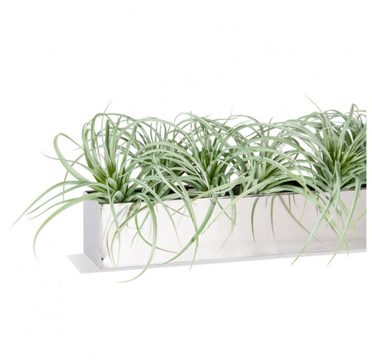 Stainless Steel Table Planter, Grey Tillandsia by Gold Leaf Design Group | Planters, Troughs & Cachepots | Modishstore