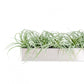 Stainless Steel Table Planter, Grey Tillandsia by Gold Leaf Design Group | Planters, Troughs & Cachepots | Modishstore - 2