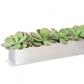 Stainless Steel Table Planter, Paddle Kalanchoe by Gold Leaf Design Group | Planters, Troughs & Cachepots | Modishstore-2