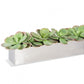 Stainless Steel Table Planter, Paddle Kalanchoe by Gold Leaf Design Group | Planters, Troughs & Cachepots | Modishstore - 2