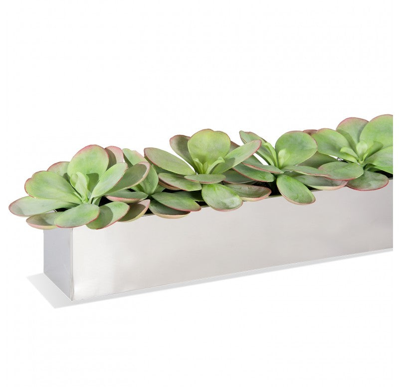 Stainless Steel Table Planter, Paddle Kalanchoe by Gold Leaf Design Group | Planters, Troughs & Cachepots | Modishstore - 2