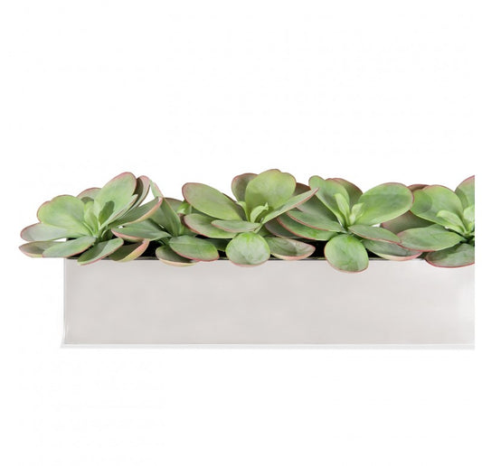 Stainless Steel Table Planter, Paddle Kalanchoe by Gold Leaf Design Group | Planters, Troughs & Cachepots | Modishstore
