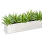 Stainless Steel Table Planter, Mini Yucca by Gold Leaf Design Group | Planters, Troughs & Cachepots | Modishstore