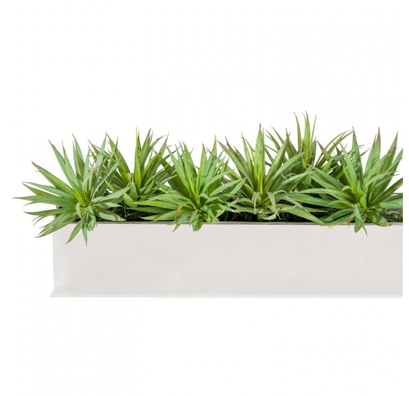 Stainless Steel Table Planter, Mini Yucca by Gold Leaf Design Group | Planters, Troughs & Cachepots | Modishstore-2