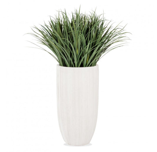 Grass: Liriope in Linea Planter by Gold Leaf Design Group | Planters, Troughs & Cachepots | Modishstore