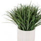 Grass: Liriope in Linea Planter by Gold Leaf Design Group | Planters, Troughs & Cachepots | Modishstore - 2