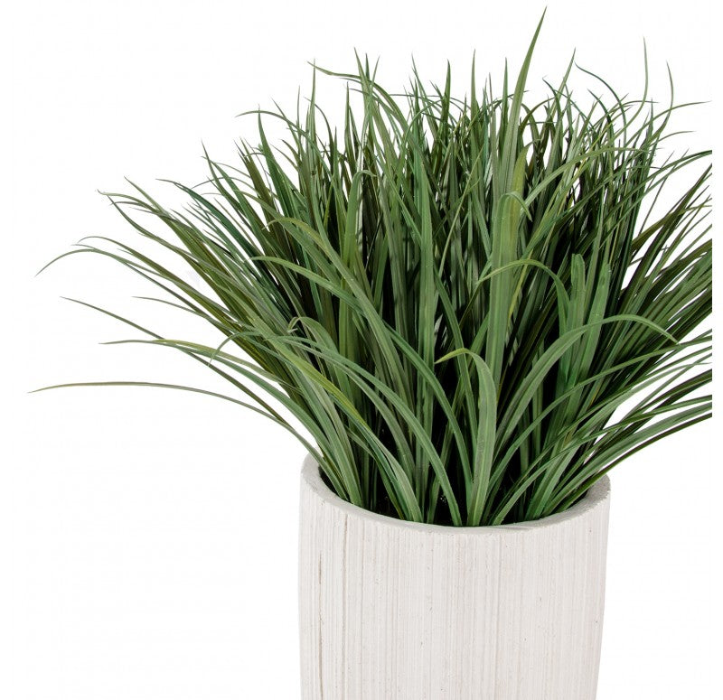 Grass: Liriope in Linea Planter by Gold Leaf Design Group | Planters, Troughs & Cachepots | Modishstore - 2