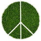 Green Wall, Peace w/ Curly Grass by Gold Leaf Design Group | Green Wall | Modishstore