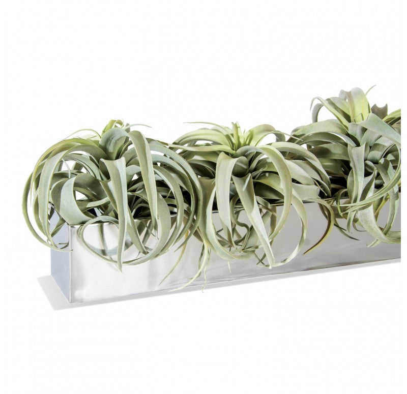 Stainless Steel Table Planter, Xerographica by Gold Leaf Design Group | Planters, Troughs & Cachepots | Modishstore - 2