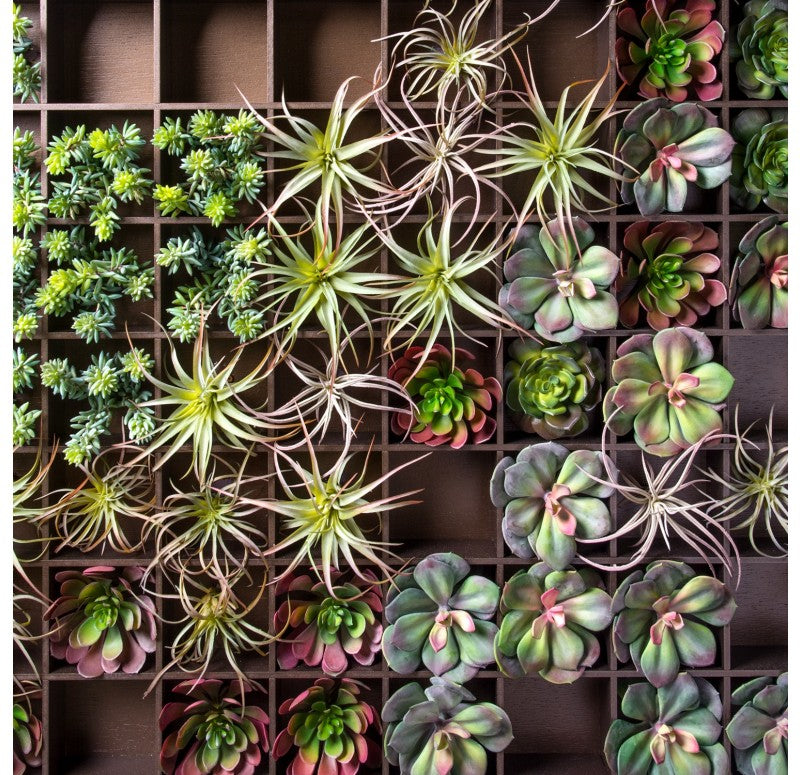 Green Wall, Pixelated Succulent by Gold Leaf Design Group | Green Wall | Modishstore - 5
