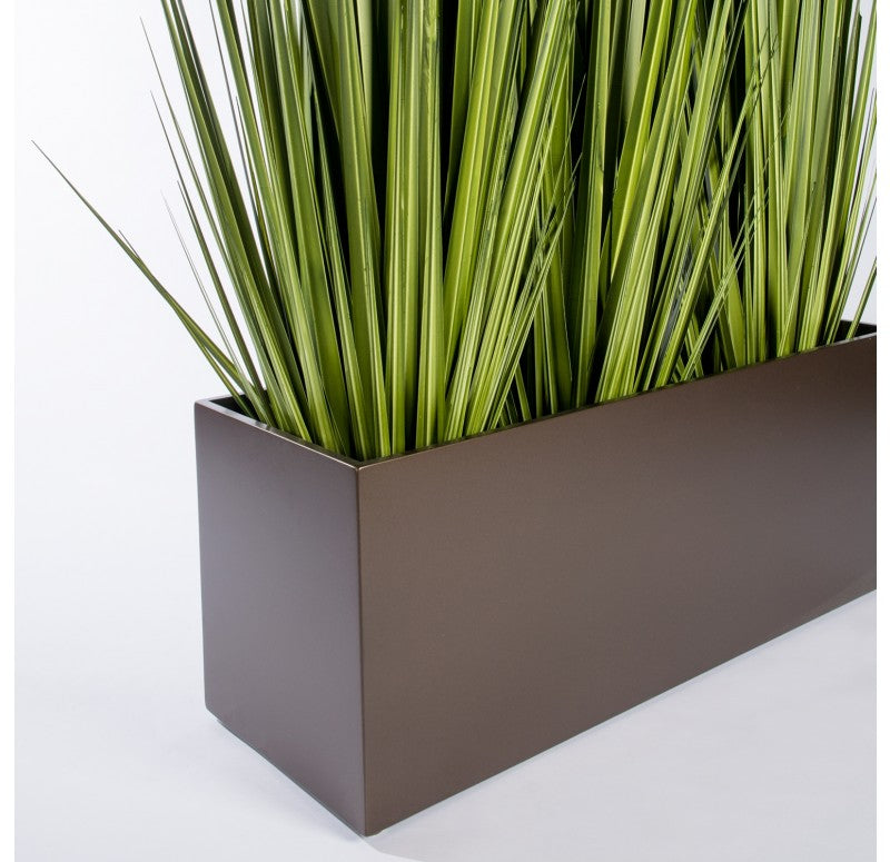 Grass: Potted Century Grass in Linear Planter, 38"OL by Gold Leaf Design Group | Planters, Troughs & Cachepots | Modishstore - 3