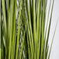 Grass: Potted Century Grass in Linear Planter, 38"OL by Gold Leaf Design Group | Planters, Troughs & Cachepots | Modishstore-4