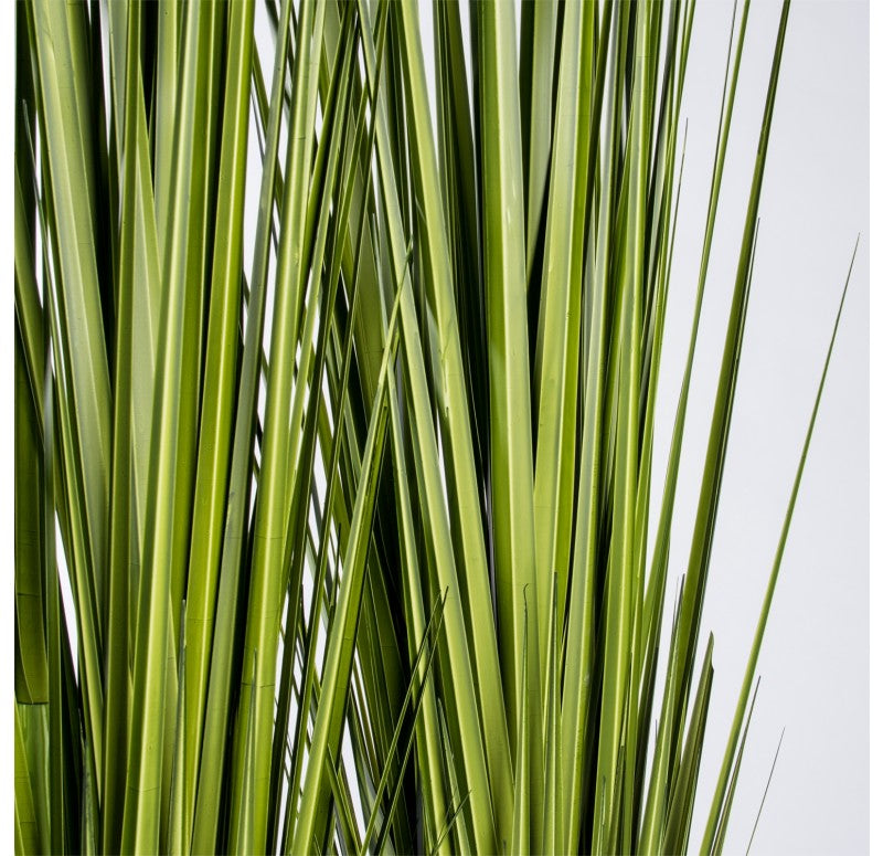 Grass: Potted Century Grass in Linear Planter, 38"OL by Gold Leaf Design Group | Planters, Troughs & Cachepots | Modishstore - 4