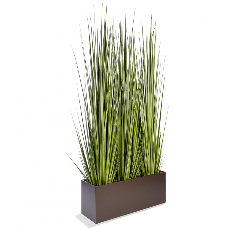 Grass: Potted Century Grass in Linear Planter, 38"OL by Gold Leaf Design Group | Planters, Troughs & Cachepots | Modishstore