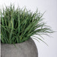 Grass: Liriope in Piedra Planter, LG by Gold Leaf Design Group | Planters, Troughs & Cachepots | Modishstore - 3
