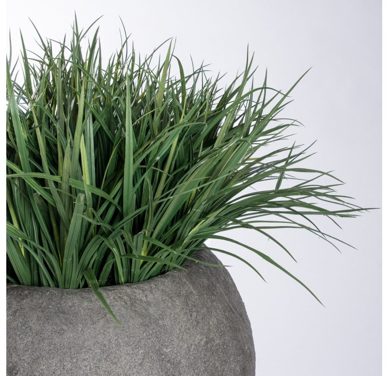 Grass: Liriope in Piedra Planter, LG by Gold Leaf Design Group | Planters, Troughs & Cachepots | Modishstore-3