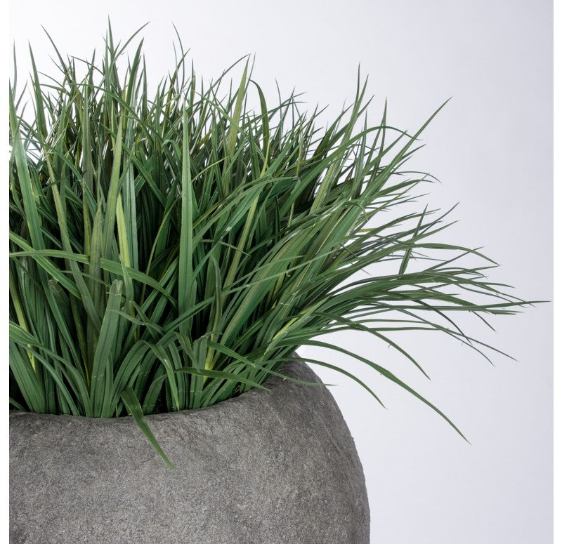 Grass: Liriope in Piedra Planter, LG by Gold Leaf Design Group | Planters, Troughs & Cachepots | Modishstore - 3