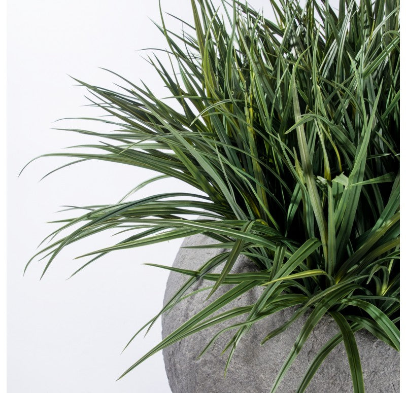 Grass: Liriope in Piedra Planter, LG by Gold Leaf Design Group | Planters, Troughs & Cachepots | Modishstore - 4