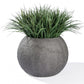 Grass: Liriope in Piedra Planter, LG by Gold Leaf Design Group | Planters, Troughs & Cachepots | Modishstore