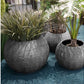 Grass: Liriope in Piedra Planter, LG by Gold Leaf Design Group | Planters, Troughs & Cachepots | Modishstore - 2