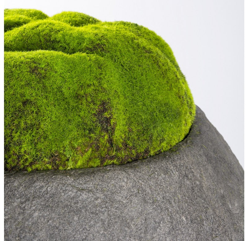 Moss Mound in Piedra Planter, LG by Gold Leaf Design Group | Botanicals | Modishstore - 3