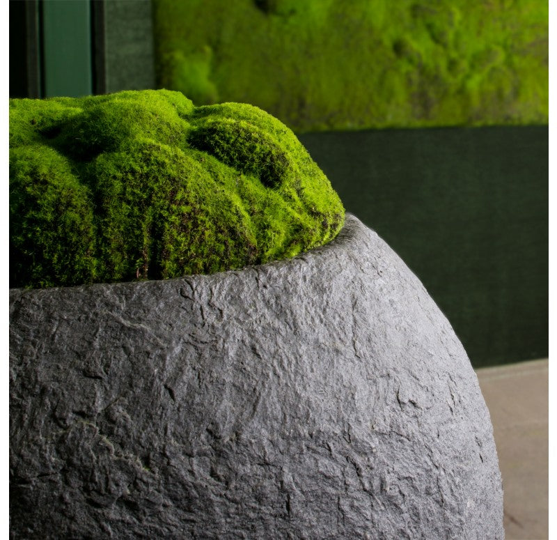 Moss Mound in Piedra Planter, LG by Gold Leaf Design Group | Botanicals | Modishstore - 4