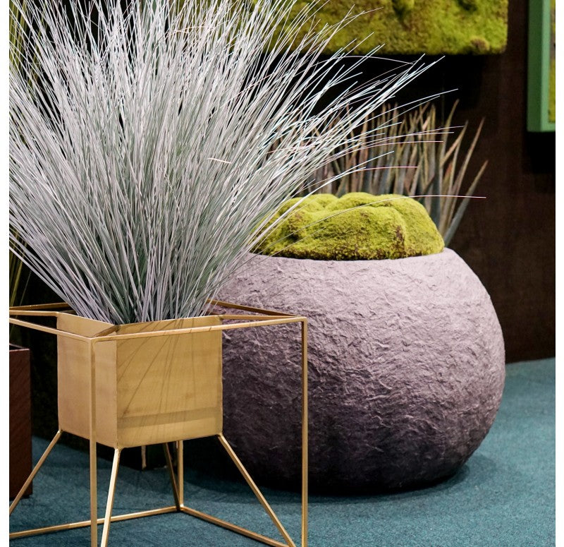 Moss Mound in Piedra Planter, LG by Gold Leaf Design Group | Botanicals | Modishstore - 2