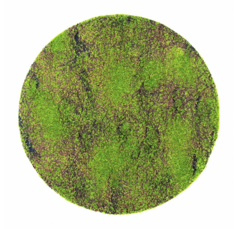 Green Wall, 'New Moss', Disc by Gold Leaf Design Group | Green Wall | Modishstore - 2