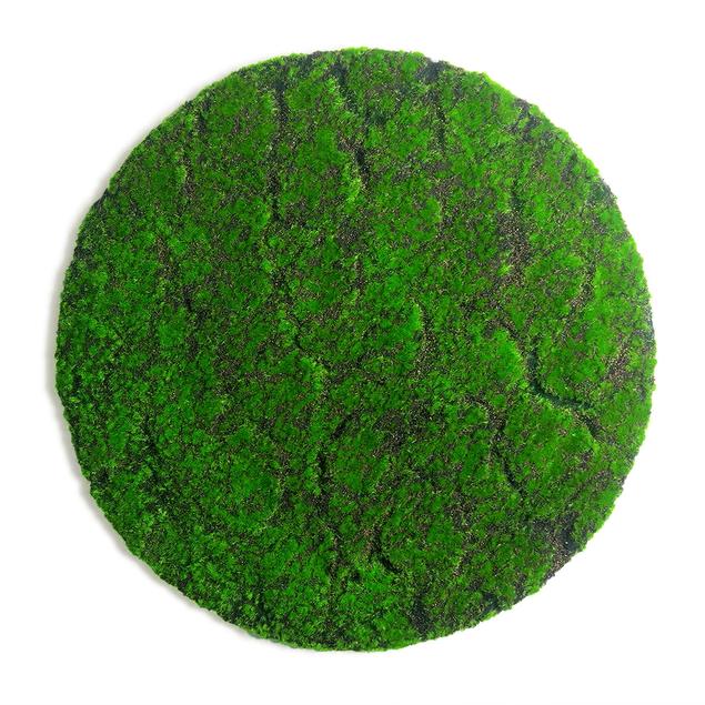 Green Wall, 'New Moss', Disc by Gold Leaf Design Group | Green Wall | Modishstore-6
