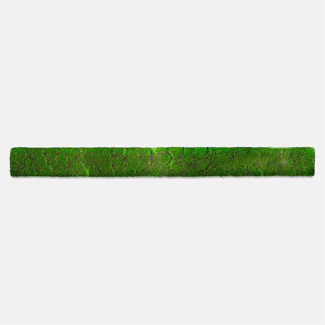Green Wall, Strip 24.5"L "New By Gold Leaf Design Group | Green Wall |  Modishstore - 12