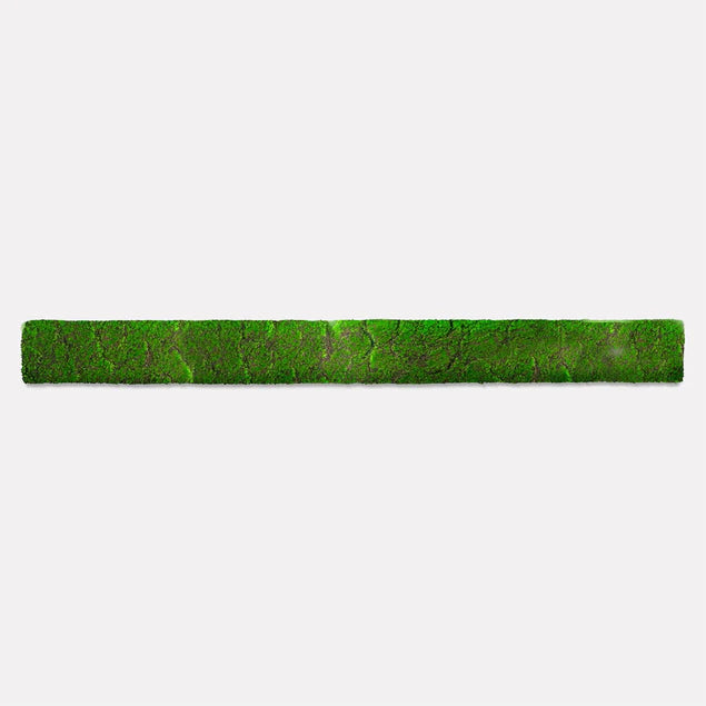 Green Wall, Strip 24.5"L "New By Gold Leaf Design Group | Green Wall | Modishstore - 12