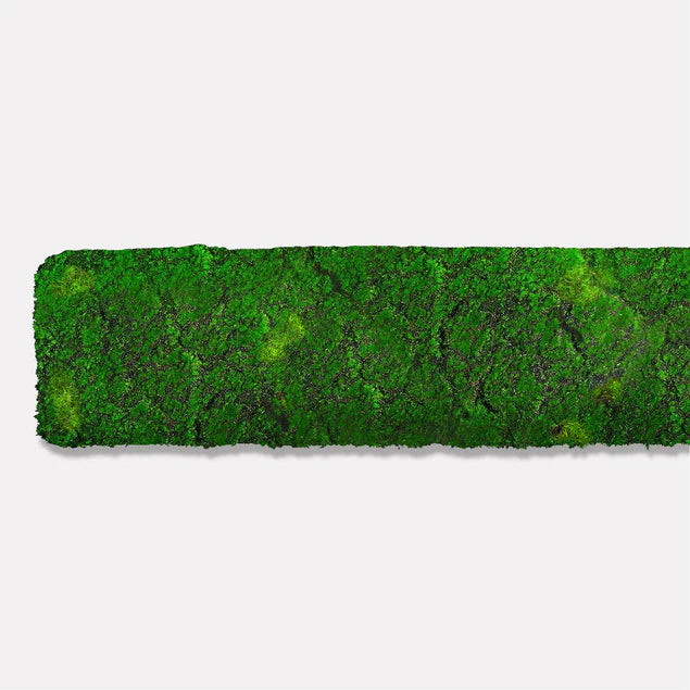 Green Wall, Strip 24.5"L "New By Gold Leaf Design Group | Green Wall |  Modishstore - 2