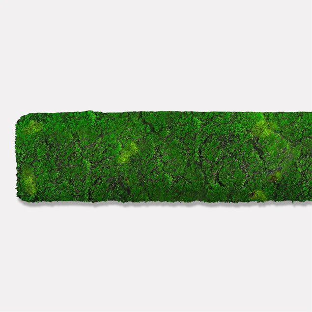 Green Wall, Strip 24.5"L "New By Gold Leaf Design Group | Green Wall | Modishstore - 2