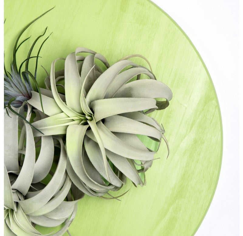 Green Wall Substrate, Urban Air Plants by Gold Leaf Design Group | Green Wall | Modishstore - 3