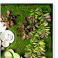 Green Wall, Succulents and Wall Play by Gold Leaf Design Group | Green Wall | Modishstore-2