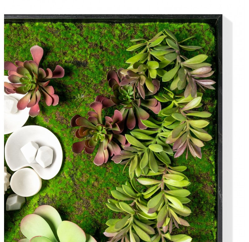 Green Wall, Succulents and Wall Play by Gold Leaf Design Group | Green Wall | Modishstore - 2