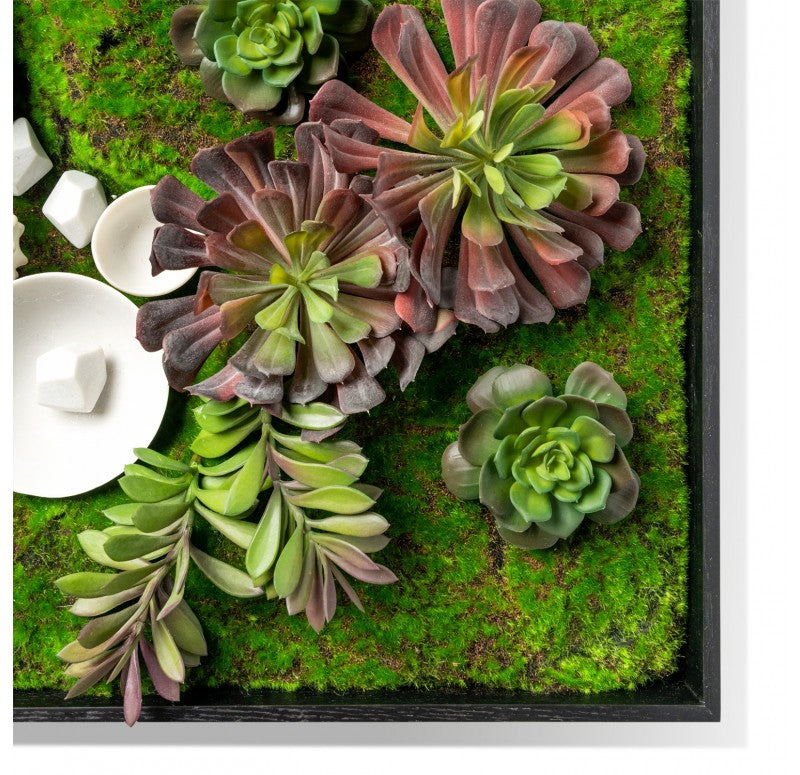 Green Wall, Succulents and Wall Play by Gold Leaf Design Group | Green Wall | Modishstore - 5