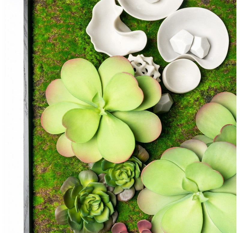 Green Wall, Succulents and Wall Play by Gold Leaf Design Group | Green Wall | Modishstore - 3