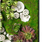 Green Wall, Succulents and Wall Play by Gold Leaf Design Group | Green Wall | Modishstore-4