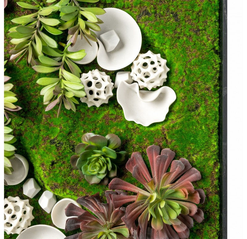 Green Wall, Succulents and Wall Play by Gold Leaf Design Group | Green Wall | Modishstore - 4