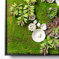 Green Wall, Succulents and Wall Play by Gold Leaf Design Group | Green Wall | Modishstore-6